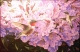 Gallery Item 3